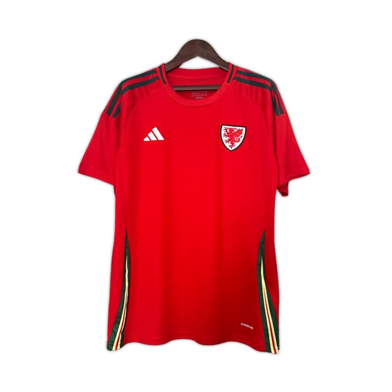 Camisa País de Gales I 24/25 Masculino Torcedor