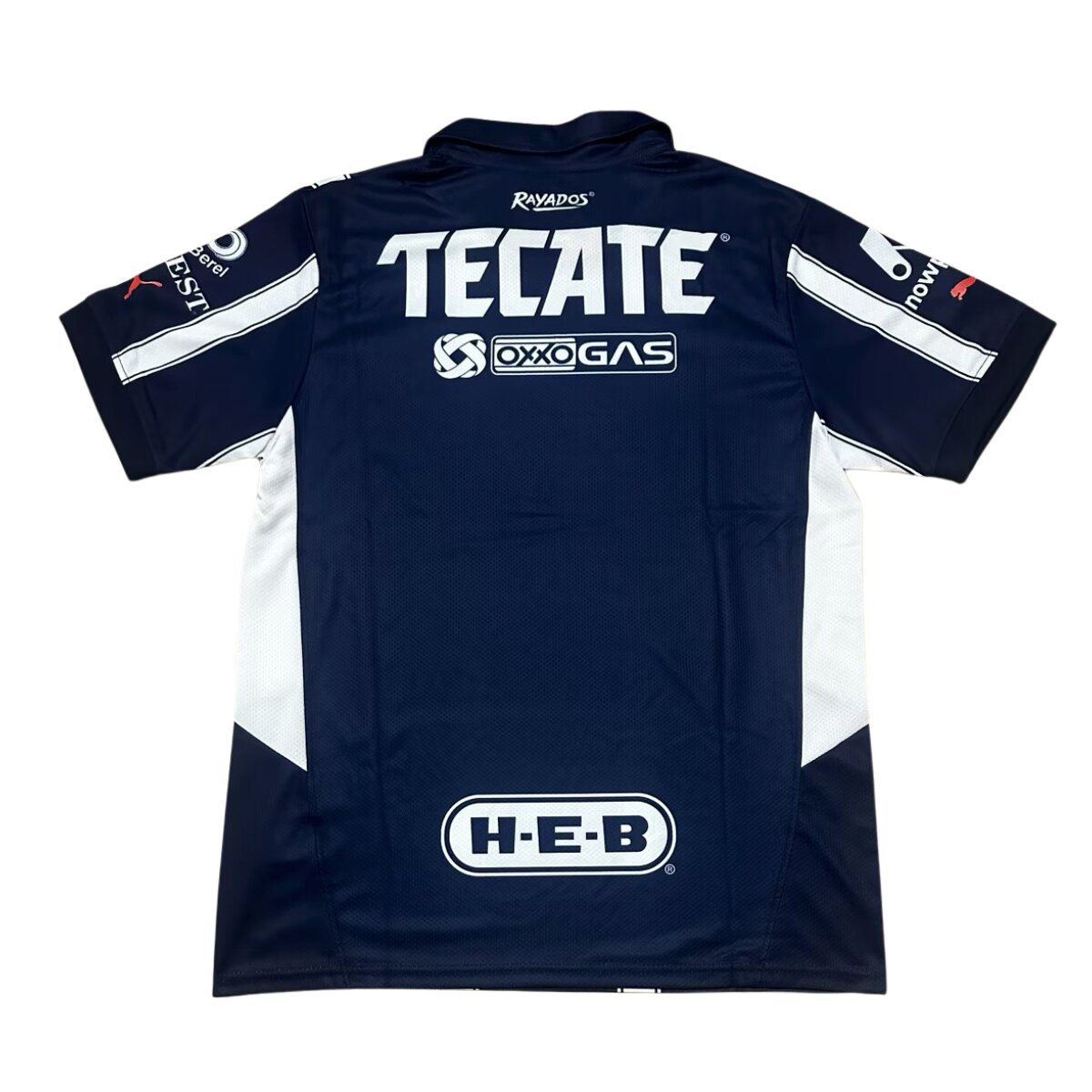 Camisa Monterrey I 24/25 Masculino Torcedor 2 Costa da camisa titular do monterrey 2024/2025 braca e azul marinho listrada masculina torcedor