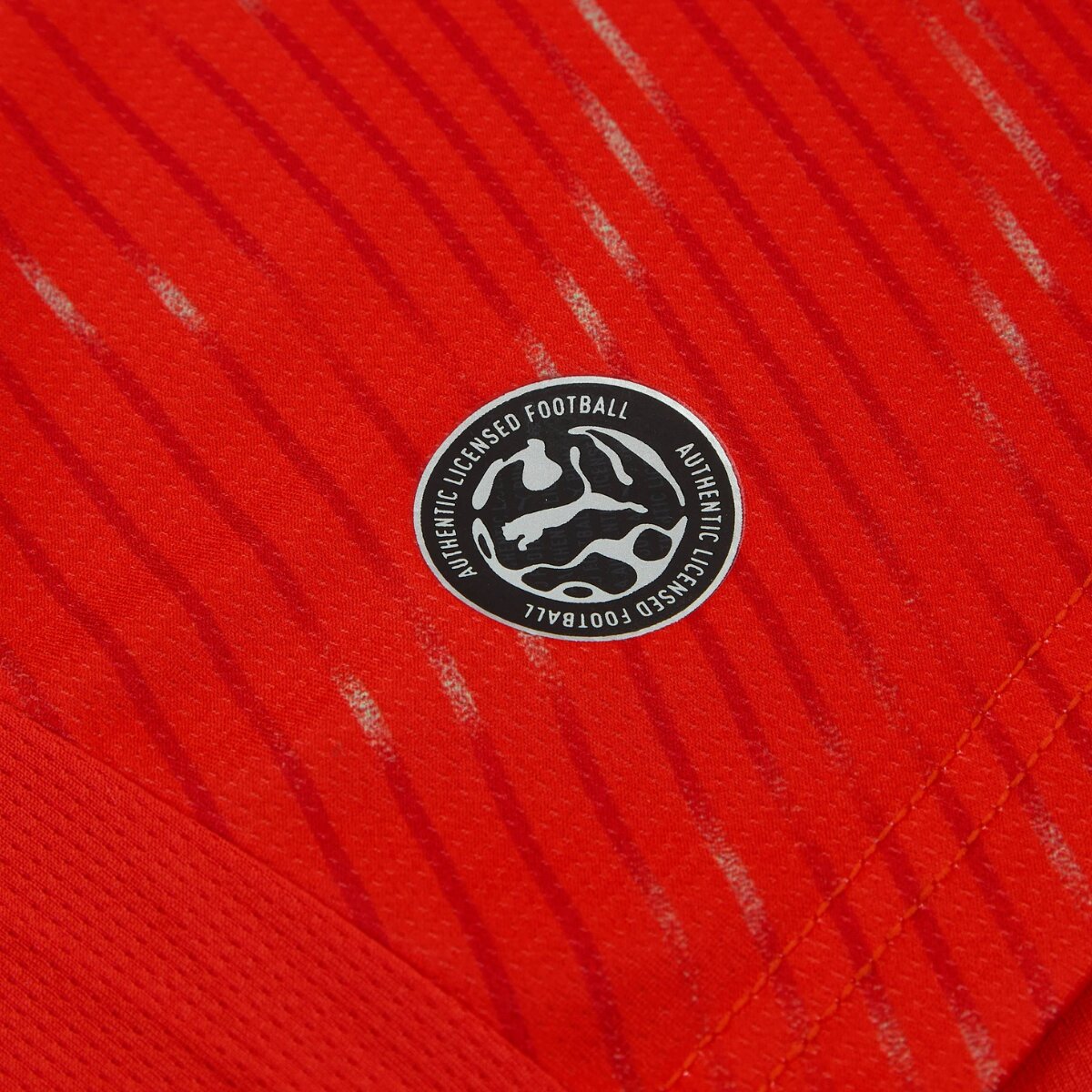 Camisa Suíça I 26/27 Masculina Torcedor 4 Camisa Suíça I 26/27 Masculina Torcedor - Imagem 4