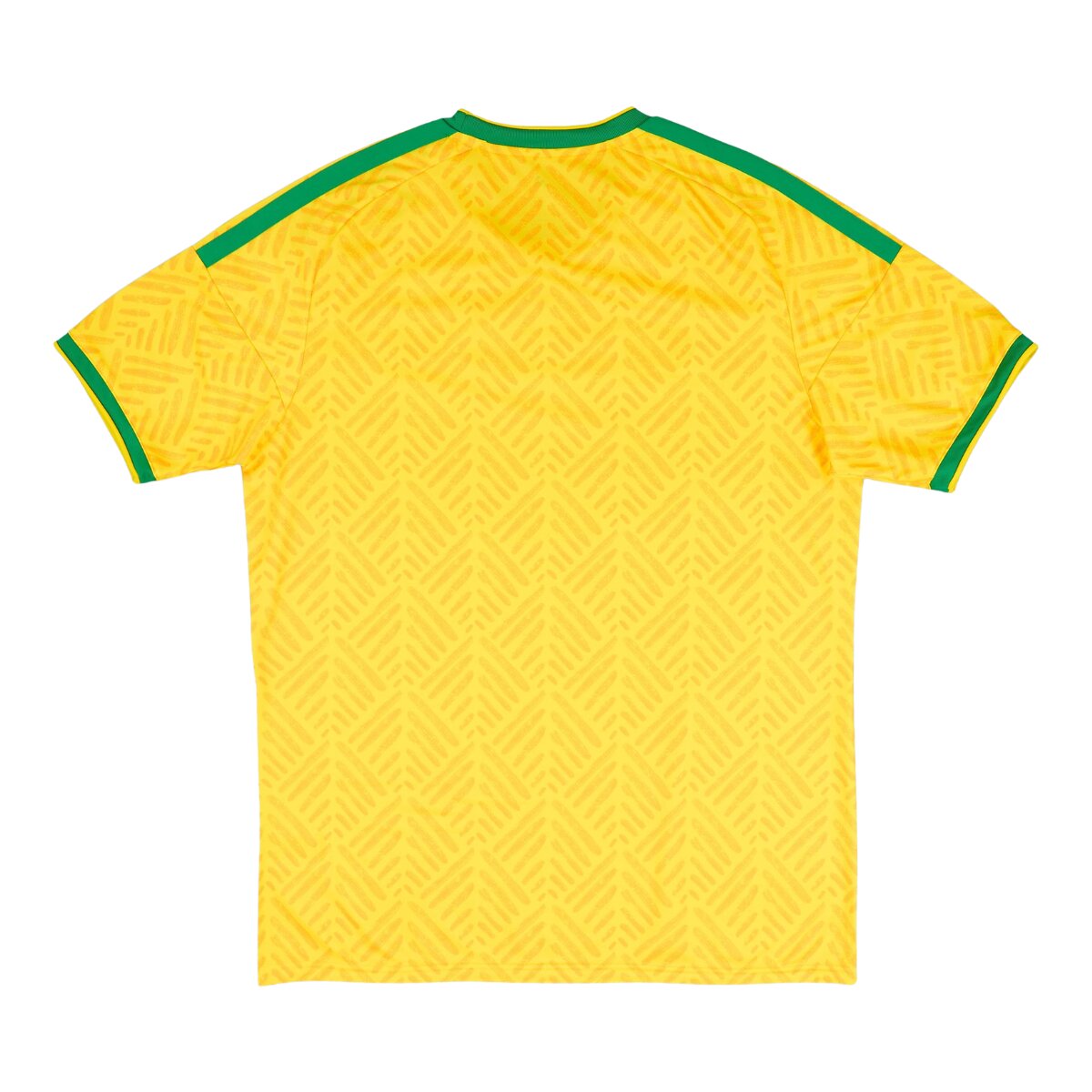 Camisa África do Sul I 26/27 Masculina Torcedor 2 Camisa África do Sul I 26/27 Masculina Torcedor - Imagem 2